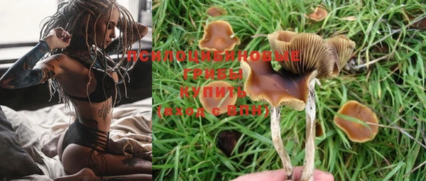 ГАЛЛЮЦИНОГЕННЫЕ ГРИБЫ Навашино