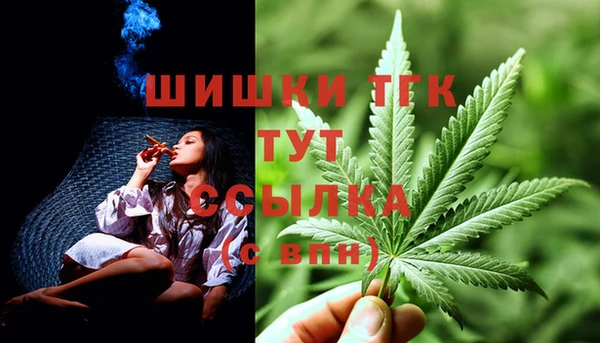 ГАЛЛЮЦИНОГЕННЫЕ ГРИБЫ Навашино