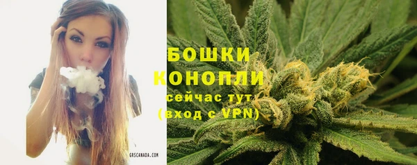 ГАЛЛЮЦИНОГЕННЫЕ ГРИБЫ Навашино