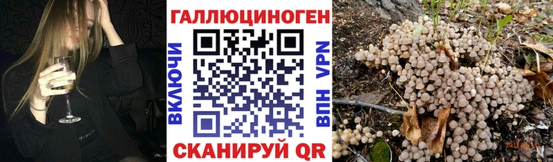 как найти закладки  Краснослободск  Псилоцибиновые грибы Magic Shrooms 